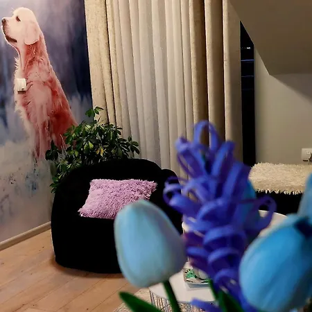 Marija 公寓 Nova Varoš