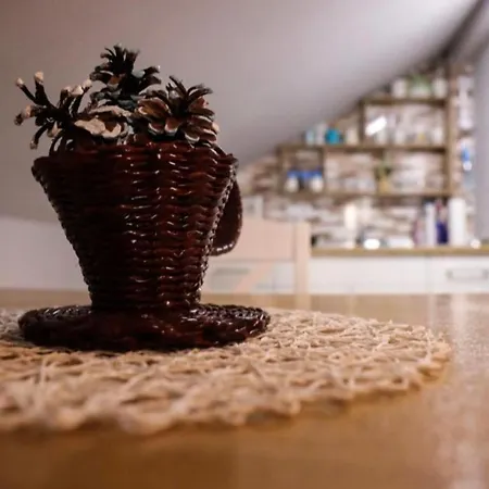 Marija Apartamento Nova Varoš